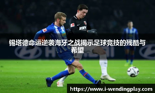 问鼎娱乐下载